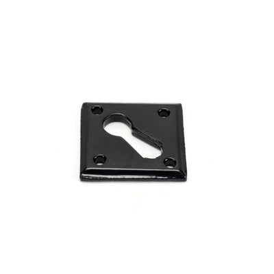 From The Anvil 33965 - Black Diamond Escutcheon #finish_black