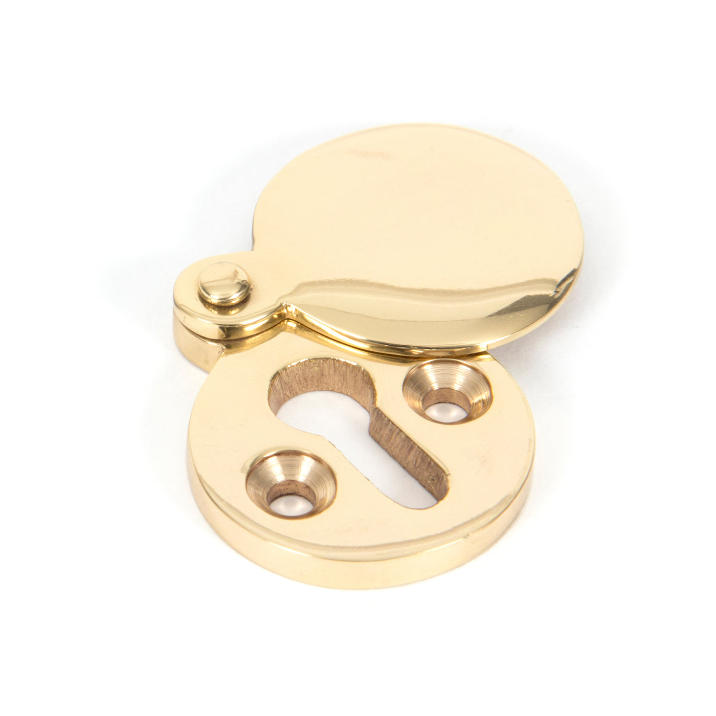 From The Anvil 83831 - Polished Brass 30mm Round Escutcheon  #finish_polished-brass